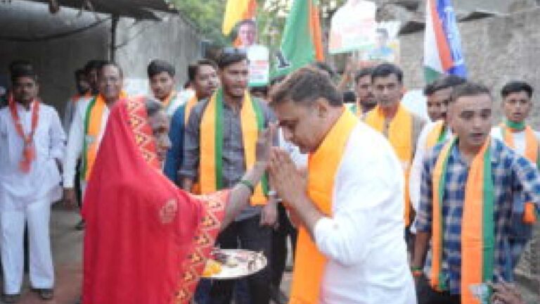 महायुतीचे उमेदवार अमोल जावळे यांच्या प्रचाराला प्रचंड प्रतिसाद